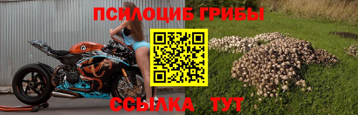 Псилоцибиновые грибы MAGIC MUSHROOMS  Вход с VPN  Псилоцибиновые грибы Psilocybine cubensis  Асбест 